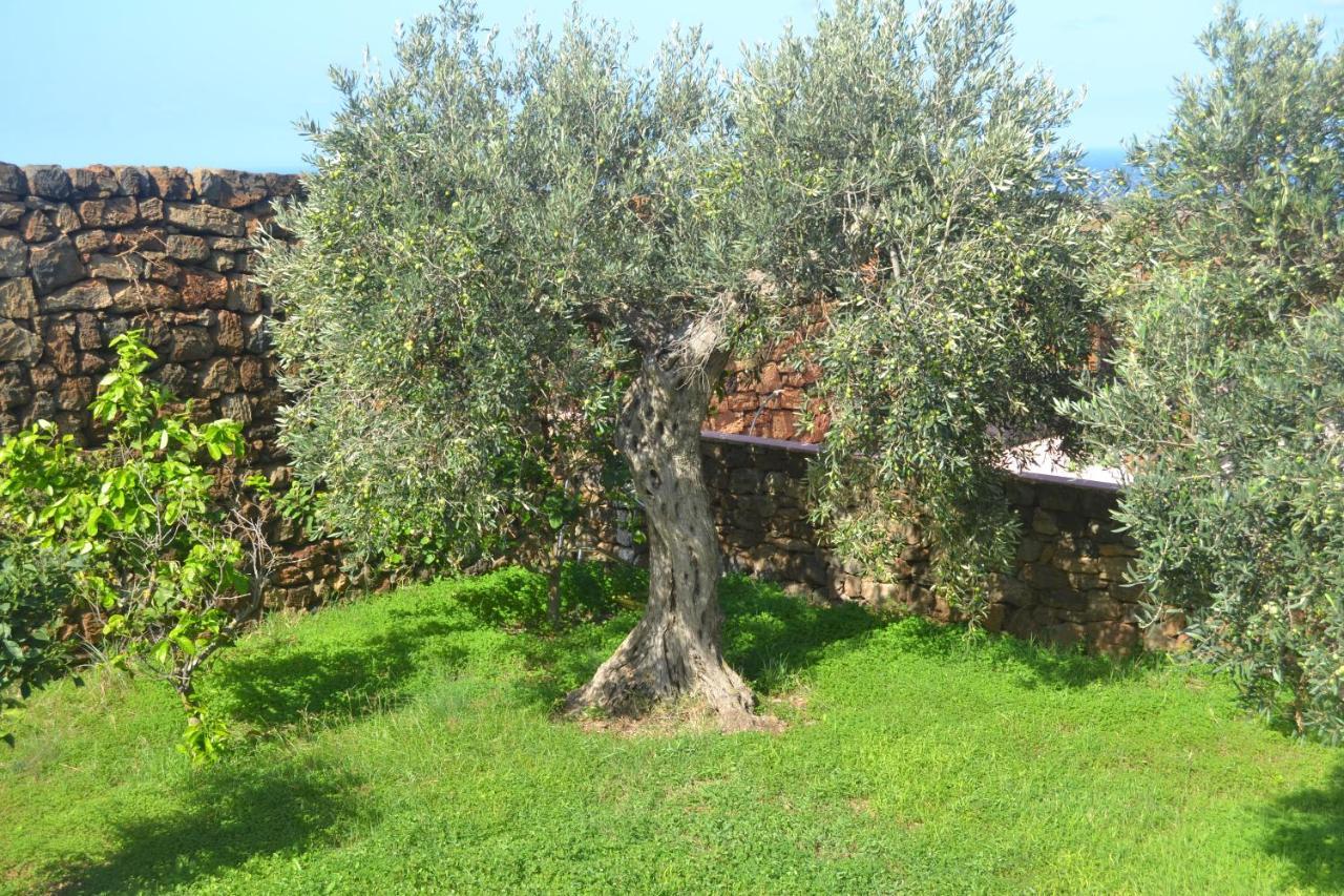 Agriturismo Zinedi Villa Pantelleria Buitenkant foto